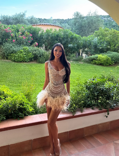 Gorgeous And Sparkling Silver-white Diamond Feather Slim Birthday Party Homecoming Dress cc4674