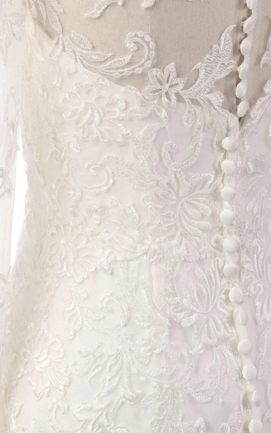 Mermaid Long Sleeve Lace Dress With Embroideries Illusion